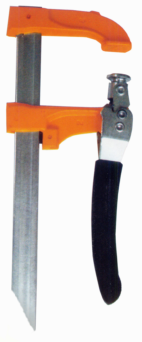 315057.jpg