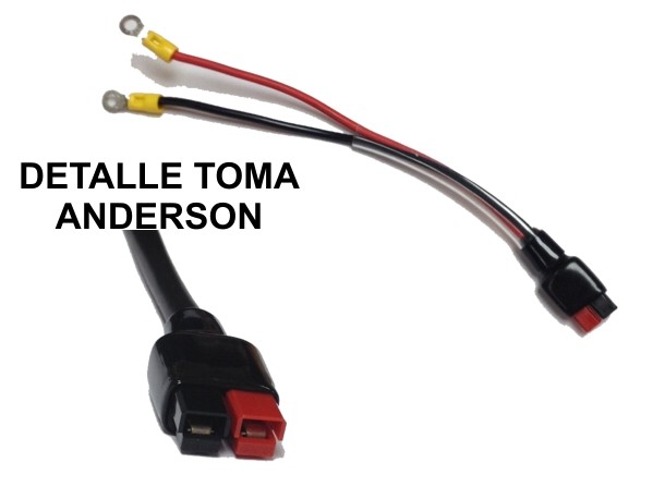 TOMA ANDERSON